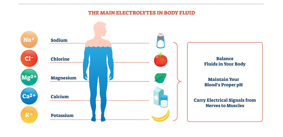 Why Does The Body Lose Electrolytes When It Loses Fluids